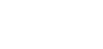 Auriga Partners