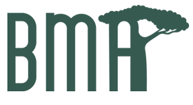 Bringuier, Maury ET Associes