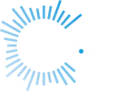 CDP