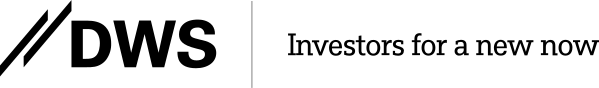 DWS International Gmbh