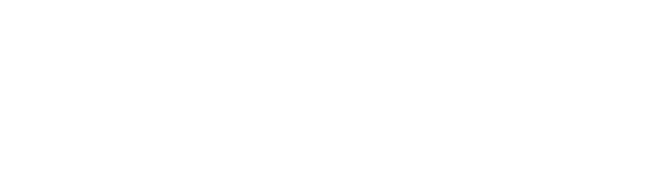 Endrix