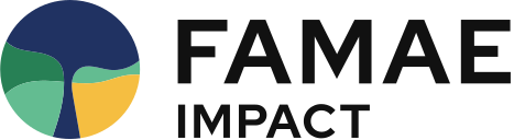 FAMAE Impact