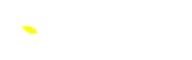 Head Patrimoine