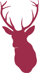 Stags Participations