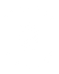 Statere Finance