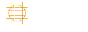 Theseis Partenaires