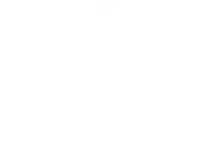 VIP Conseils